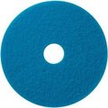 Americo Global Industrial„¢ 13" Scrubbing Pad, Blue, 5 Per Case 400413